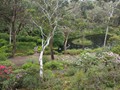 Rhododendron Gardens - view over the lake