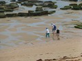 ...walkies on the beach