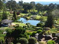 Japanese Gardens...