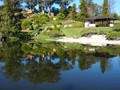 ...reflections...