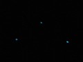 Glow worms