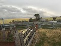 IMG_3865