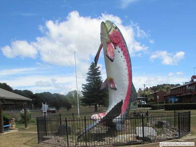 Adaminaby