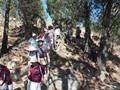 Adelong gold diggings on a hot day...