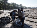 Fossil walk - looks like a solemn rememberance...